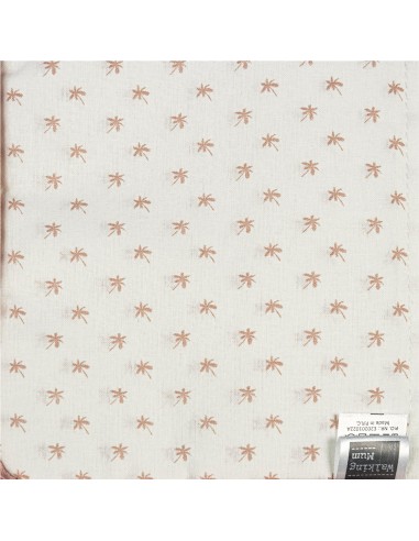 LIBRO NACIMIENTO REMY ROSA