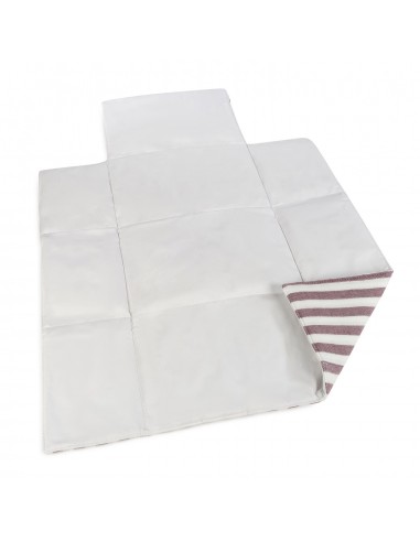 CAMBIADOR CHERRY RAYAS