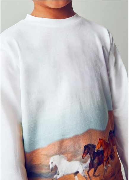 CAMISETA M/L POSICIONADA...