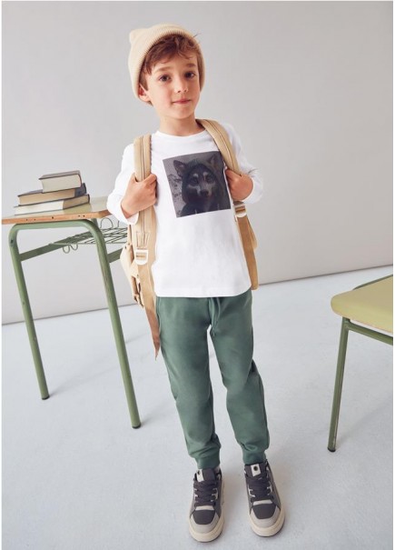 CAMISETA LENTICULAR MAYORAL 2