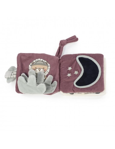 LIBRO ACTIVIDADES LEÓN GALA MINT