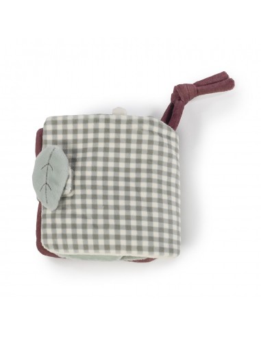 LIBRO ACTIVIDADES LEÓN GALA MINT