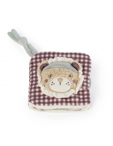 LIBRO ACTIVIDADES LEÓN GALA CERISE