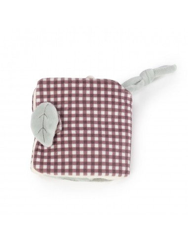 LIBRO ACTIVIDADES LEÓN GALA CERISE