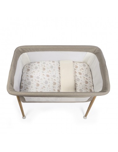 EDRE+SAB BAJE+ALMOH MINI NARA