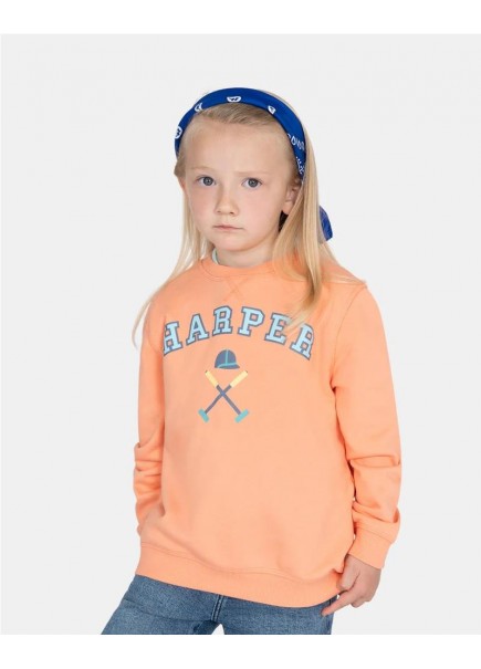 SUDADERA RETRO KIDS HARPER 2