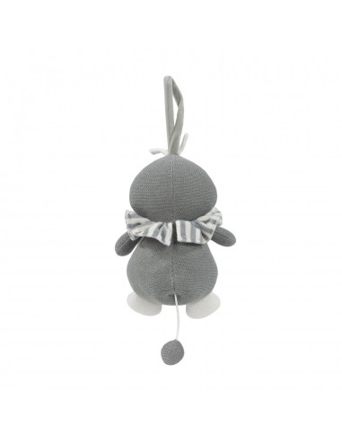 MUSICAL PINGÜINO PRALINÉ MATCHA