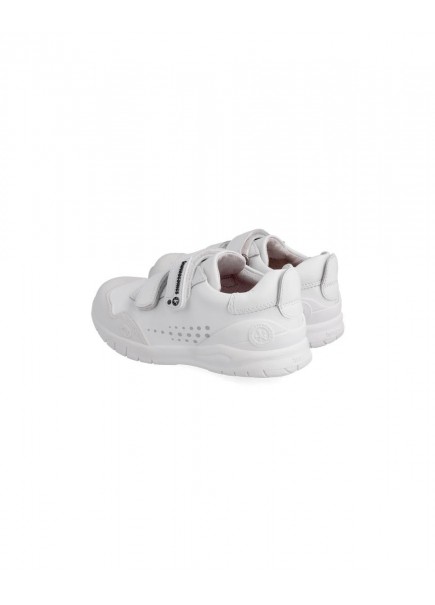 DEPORTIVA BÁSICA COLEGIAL 2