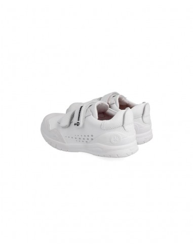 DEPORTIVA BÁSICA COLEGIAL