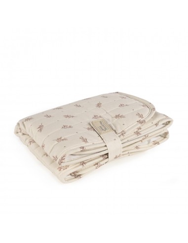 CAMBIADOR MIMOSA ROSA