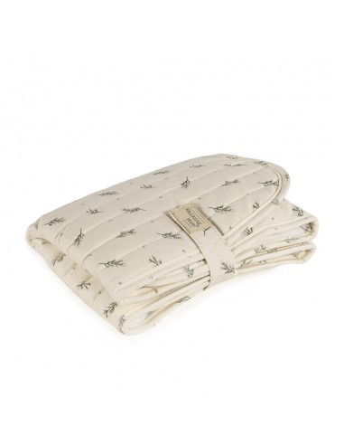 CAMBIADOR MIMOSA VERDE