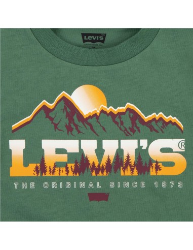 CAMISETA MONTAINS