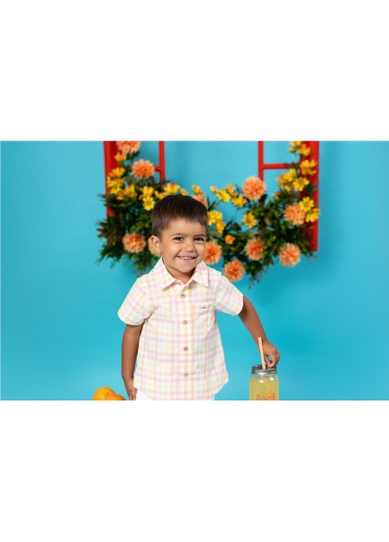 CAMISA CUADROS HOLANDA DE... 2